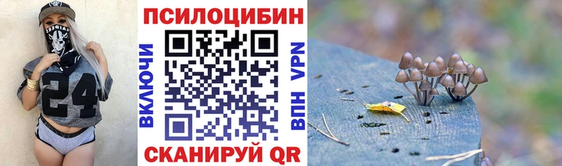 закладки Ленск Псилоцибиновые грибы GOLDEN TEACHER